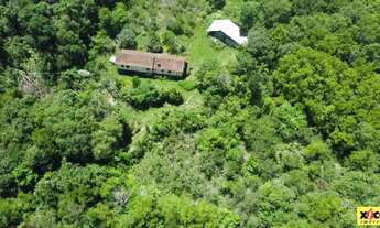 Imagem 5: Sítio / Chácara para Venda em Nova Petrópolis, Linha Olinda, 2 dormitórios, 1 banheiro