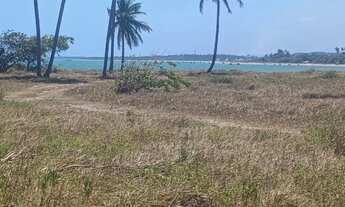 Imagem 5: Terreno Urbano para Venda em Paripueira, AL 101 Norte