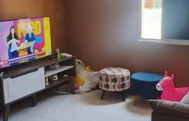 Imagem 3: Apartamento de 1/4 próximo a praia