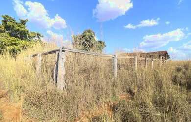 Imagem 4: Chácara 06 alqueires em Crixás Goiás, casa, curral, energia, plana, 05 divisões de pastos