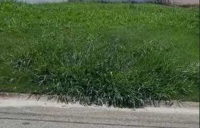 Imagem: Terreno à venda, 250 m² - Condomínio