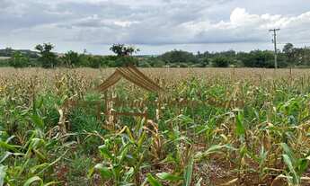 Imagem 4: Sitio com 2 alqueires em Cesário Lange-SP