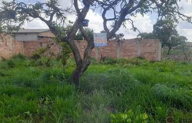 Imagem 2: Lote em frente barreira policial Aragoiania