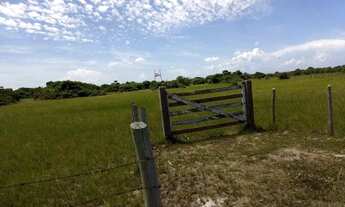 Imagem 3: Terreno em Grussaí