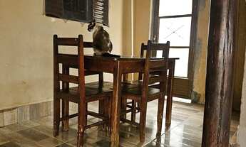 Imagem 3: Vendo 2 casas no mesmo lote