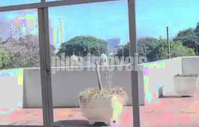 Imagem 4: PRÉDIO COM LOJA, MEZANINO E PISO SUPERIOR, IMPECÁVEL !!!