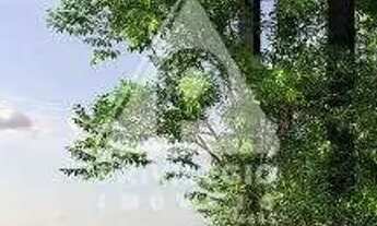 Imagem: Lançamento ARTE DESING - Calper. Apartamentos