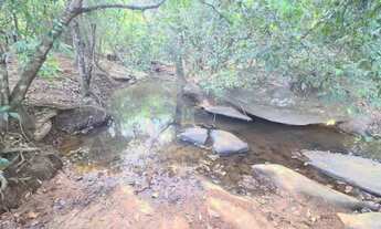 Imagem 6: Chácara 06 alqueires em Crixás Goiás, casa, curral, energia, plana, 05 divisões de pastos