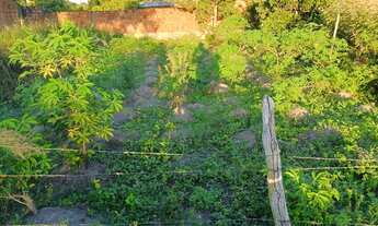 Imagem 2: Terreno 6.80 por 22 e uno ano 2000