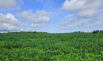 Imagem: Área 24 hectares, Rio Verde - GO