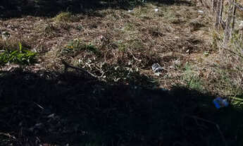 Imagem 7: Lote de Esquina à Venda em Nova Parnamirim