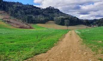 Imagem 3: ÓTIMO TERRENO (2000M2) PROX SANTA FELICIDADE