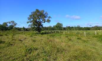 Imagem 3: Fazenda/Sítio/Chácara para venda tem 0 metros quadrados com 2 quartos