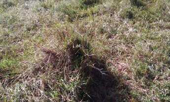 Imagem 5: Terra em Governador Valadares