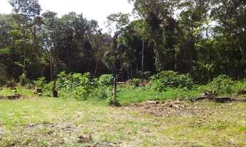 Imagem 3: Lotes a venda em mosqueiro