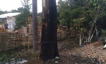 Imagem 2: Vendo terreno Terreno / lote com venda por R$25.000