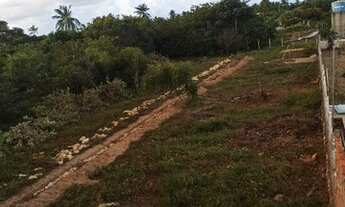 Imagem 4: Terreno areia branca mosqueiro a venda