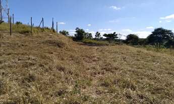 Imagem 4: Lote em Coimbra-MG