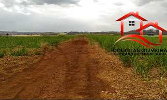 Imagem 5: Sítio 13 Alqueires Região De Igarapava/SP