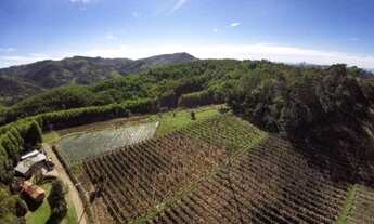 Imagem 2: A PROPRIEDADE DOS SEUS SONHOS!