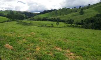 Imagem 3: Sítio em Ouro Fino - MG 20.000 m²