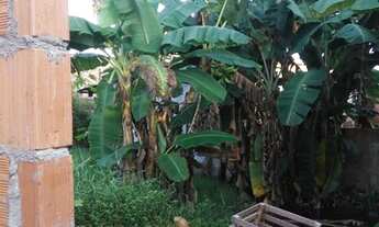 Imagem 6: Casa em fase de acabamento no cacal pireira