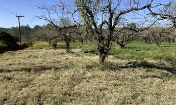 Imagem: TERRENO RURAL 20.000M2 PLANO COCUERA