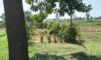 Imagem 6: Chácara R$ 150.000,00 mil (2 alqueire