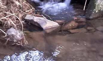 Imagem 7: Vendo Cabanas/chalés em Urubici