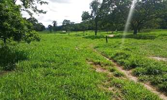 Imagem 6: Fazenda na Agrovila das Palmeiras