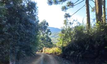 Imagem 2: Terreno 19 hectares Escriturado Município de Vargem SC