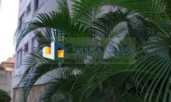 Imagem 2: Lindo Apartamento no Cambuci