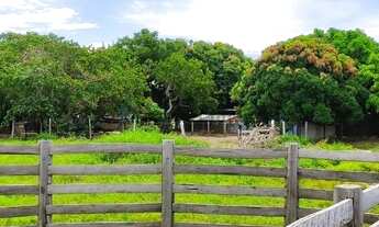 Imagem 3: Fazenda para pecuária em Rosário Oeste