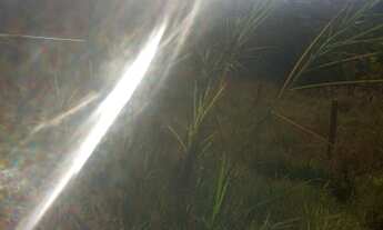 Imagem 4: Terreno em treis Marias