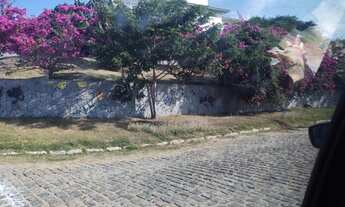 Imagem 4: VENDO EXCELENTES TERRENOS EM PRAIA DAS FOCAS - BÚZIUS