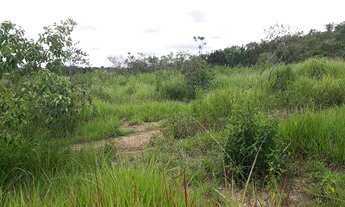 Imagem 3: Oportunidade !! Fazendinhas de 20.000m2 com valor baixo para entrada !!