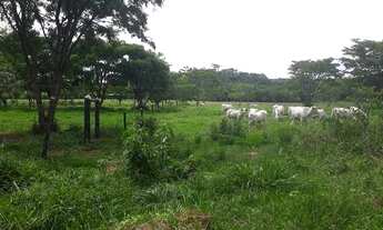 Imagem 2: Compre sua Fazendinha Rural na divisa de Cordisburgo e Paraopeba !! Ótimas oportunidades