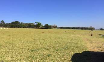 Imagem 3: Fazenda 33 Alqueires, Região de Tatui-Sp