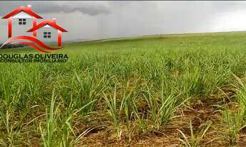 Imagem 7: Sítio 13 Alqueires Região De Igarapava/SP