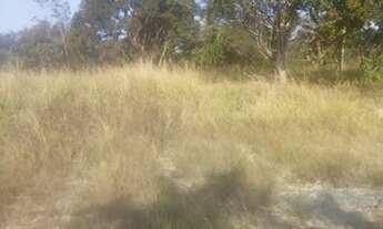 Imagem 3: Terreno em treis Marias