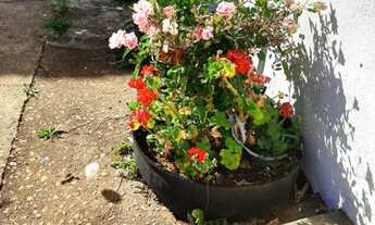 Imagem 5: COD:2122 Chácara no bairro Cruz Alta