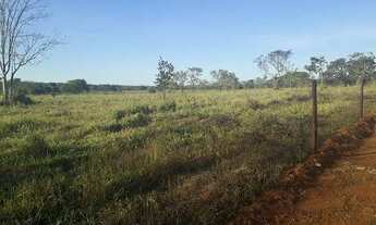 Imagem 3: Compre uma fazendinha rural com 20 mil mts quadrados no município de Jaboticatubas