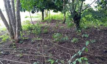 Imagem 4: Vendo terreno em Belterra