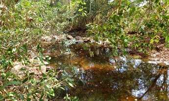Imagem: Fazenda a 85 km de Cuiabá-MT