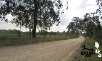 Imagem 2: Área à venda, 46767 m² por R$ 11.691.850,00 - Planta Quississana - São José dos Pinhais/PR