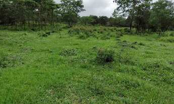 Imagem 2: Fazendinha Rural em Fortuna de Minas, Pagamento Facilitado. Lote com doc. Regular e água e