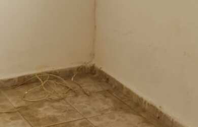 Imagem 7: Alugo casa GUARA 2