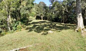 Imagem 7: Vendo lindo Sítio com 5.6 hecc