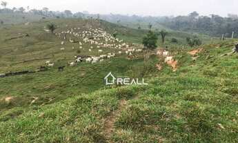 Imagem 6: Fazenda à venda, 8130000 m² - Centro - Sena Madureira/AC