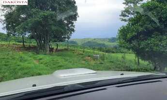 Imagem 2: 7.3 Alqueires todo cercado e gramada dá metade de lavoura perto da PR 180